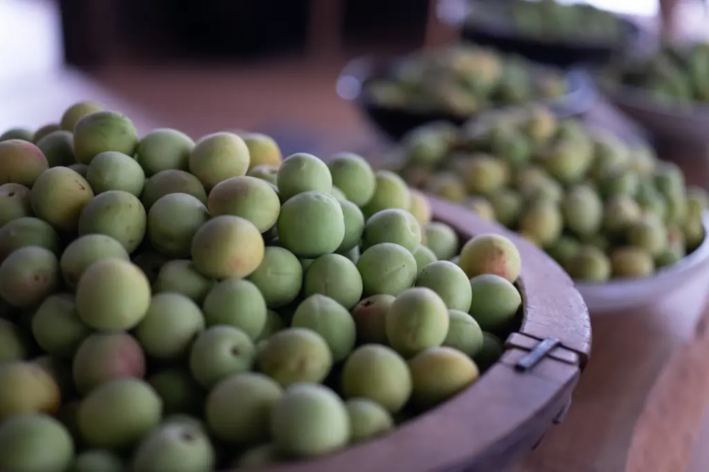 藤五郎梅で作る、やさしい梅干しの作り方｜色付け・干し方・特徴まとめ